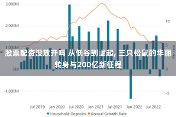 股票配资没放开吗 从低谷到崛起, 三只松鼠的华丽转身与200亿新征程