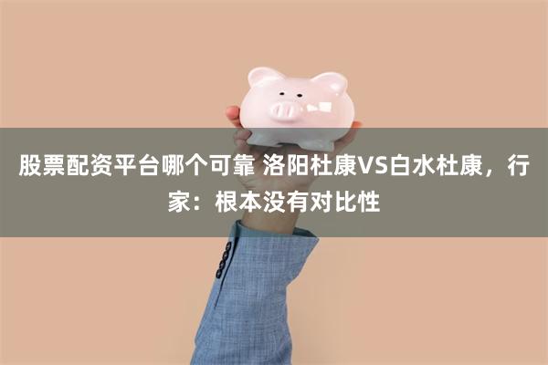 股票配资平台哪个可靠 洛阳杜康VS白水杜康，行家：根本没有对比性