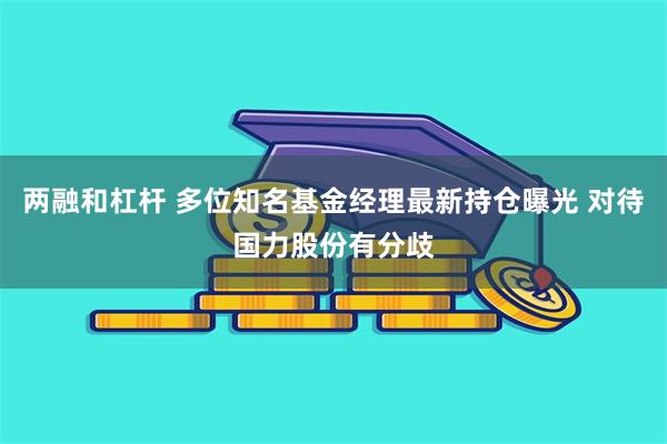 两融和杠杆 多位知名基金经理最新持仓曝光 对待国力股份有分歧