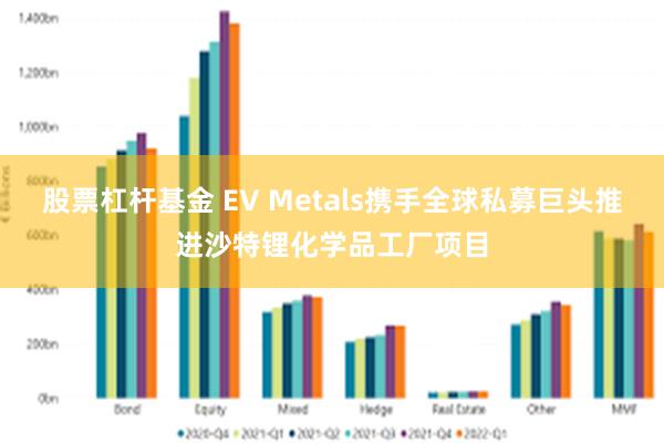 股票杠杆基金 EV Metals携手全球私募巨头推进沙特锂化学品工厂项目