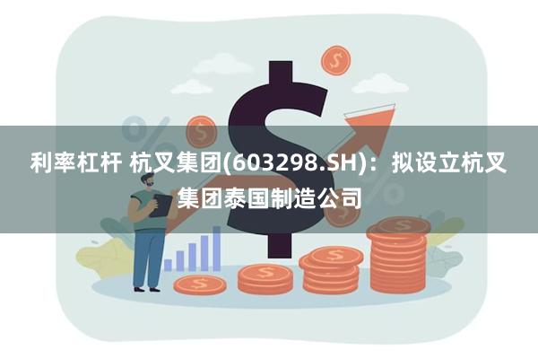 利率杠杆 杭叉集团(603298.SH)：拟设立杭叉集团泰国制造公司