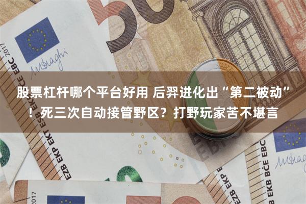 股票杠杆哪个平台好用 后羿进化出“第二被动”！死三次自动接管野区？打野玩家苦不堪言