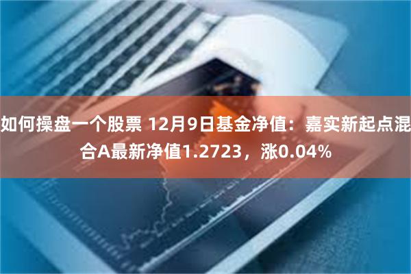 如何操盘一个股票 12月9日基金净值：嘉实新起点混合A最新净值1.2723，涨0.04%