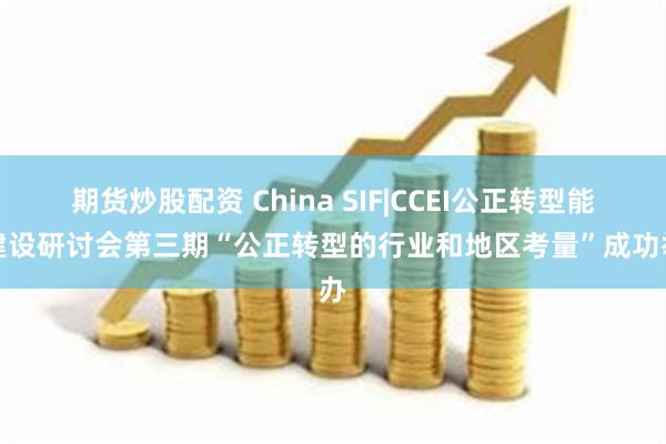 期货炒股配资 China SIF|CCEI公正转型能力建设研讨会第三期“公正转型的行业和地区考量”成功举办